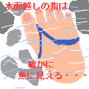 ̒̑