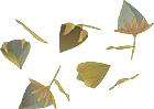 ΂̎iGj