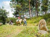 [Trekking Course]